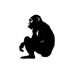 Black monkey silhouette isolated on white