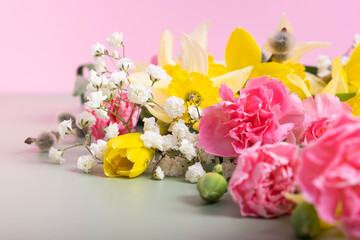 Spring flowers of narcissus, gypsophila and willow on a colored background