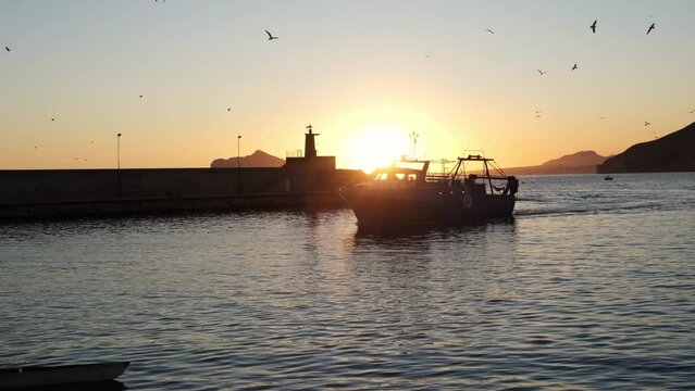 A fishing boat moving on the sea at sunset with a flock of gulls. Commercial catch of sea fish. Fishing boat coming back to the harbor. Calpe, Alicante, Spain.