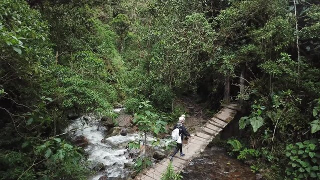Aerial drone footage of a girl walking across a wooden suspension bridge in Cocora Valley, Colombia. Los Nevados National Natural Park near Salento. Latin America 4k footage