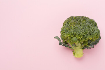 Flat lay with fresh green broccoli on color background