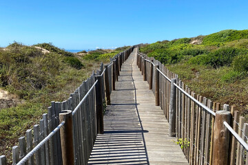 Fototapeta na wymiar Wooden boardwalk leading to the beach with blue sky in background