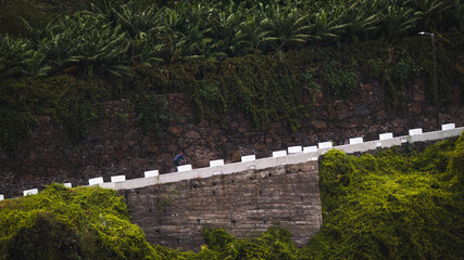 Lone Cyclist on Madeira Road