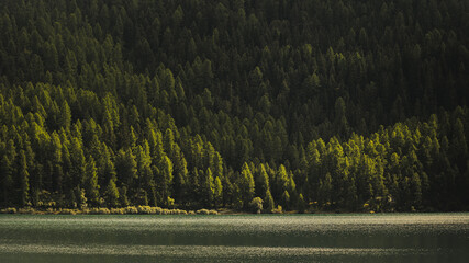 Serenity at a Mountain Lake in Engadin