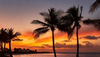 Fototapeta na wymiar silhouette of palm trees at tropical sunrise or sunset
