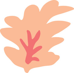 Peach color flower illustration Botanical vector illustration color of the year 2024