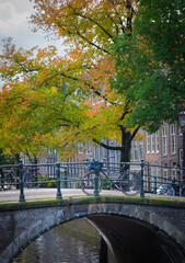 A bridge with bikes on the canal, autumn colorful trees, Amsterdam