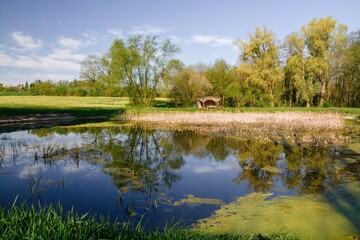Fototapeta na wymiar Spring morning by the pond. Reflection of trees on water. Czechia.