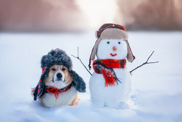 funny Christmas card with a corgi dog sitting in a warm hat in a winter snowy New Year's park with...