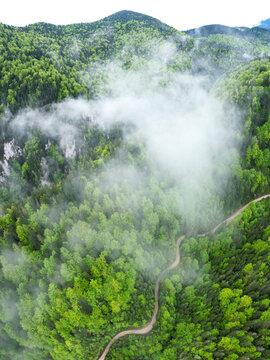 Aerial vertical drone panorama above a canyon winding through beech woodlands. Rainy day. Low altitude clouds form above the mountain peaks. Spring season, the tree leaves are bright green