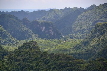 Lush rainforest and mountains of Cat Ba island in Vietnam