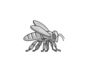 Bee, insect, animal, apiary and beekeeping, graphic design. Honey bee, bee-garden and apiculture, vector design and illustration