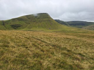 Fototapeta premium green hillside