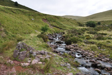 Fototapeta na wymiar stream in hills