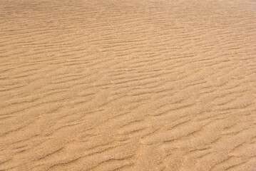 Desert sand pattern during the day light. wave sand parttern of the desert isolated.