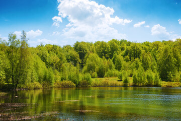 scenery with park lake. forest on the hill beneath a sky with fluffy clouds. warm april weather