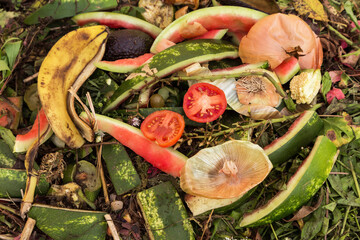 Compost pile in garden close up. Bio waste, vegetables fruits scraps background, texture. Zero...