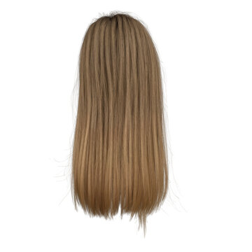 recommend clip art: 3d rendering straight soft brown hair isolated
