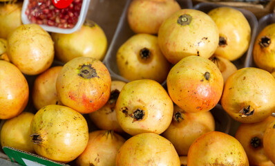 On shelf of garden stuff store, yellowish pomegranate fruits are laid out, packaged in transparent...