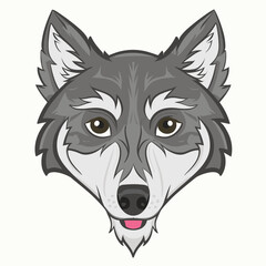 Wolf face front view icon