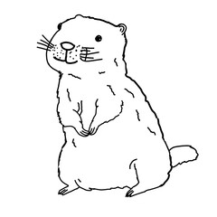 cute groundhog