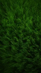 Papier Peint photo autocollant Herbe new grass background
