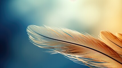 A single feather with delicate details against a soft, blue and golden background