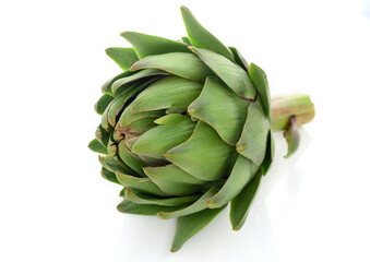 fresh artichoke on white background 4