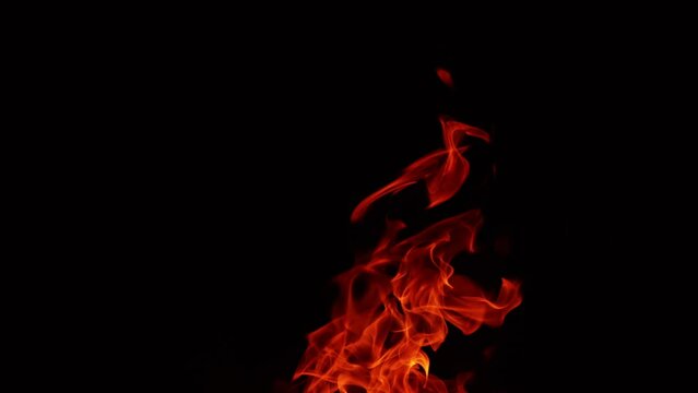 Mesmerizing fire flames moving in the darkness. Campfire burning isolated at black background.