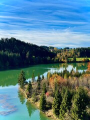 Fototapeta premium lake and forest