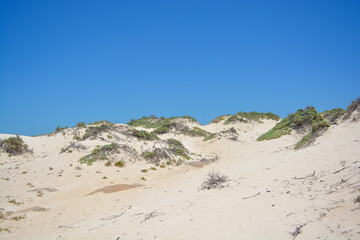 Naklejka premium Spectacular view of natural landscape of Sasariwichi California Dunes in Aruba. 