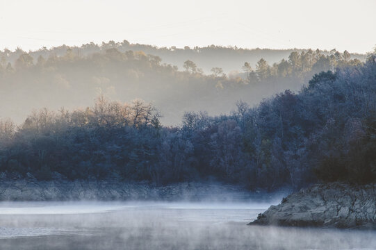 Paysage d'hiver avec de la brume