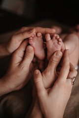 parents' hands gently hold the child