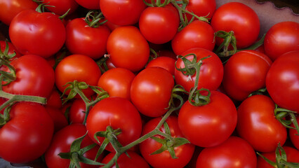 These tomatos have been photographed at a food market in Catania, Sicily, Italy - obrazy, fototapety, plakaty