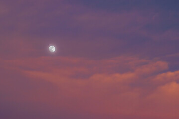 Sunset in the beach of Tortuguero National Park (Costa Rica)