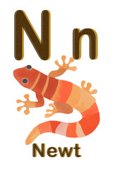 printable animal alphabet card vector graphic resources, letter N / n for newt