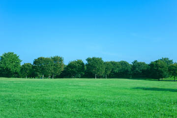Green Park