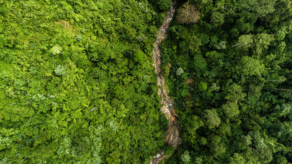 High angle view Aerial photograph of forest - Powered by Adobe