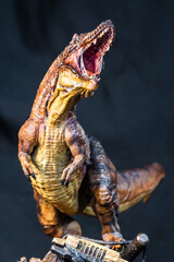 Trex Tyrannosaurus  dinosaur in the dark © meen_na