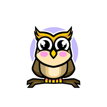 cartoon owl chubby mascot design illustration 