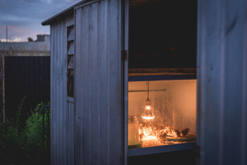 Chicken coop at night
