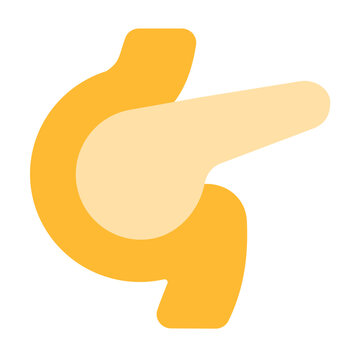 pancreas