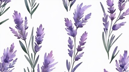 Fototapeta na wymiar watercolor lavender seamless pattern on white background ,lavender flower and green leaves, isolated image ,vector , illustration ,3d .