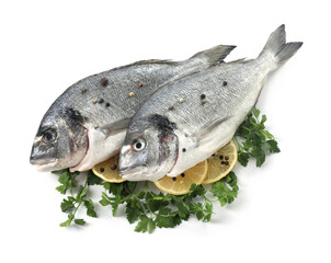 Raw dorado fish, parsley, lemon slices and peppercorns isolated on white, top view