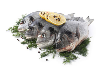 Raw dorado fish, dill, lemon slices and peppercorns isolated on white