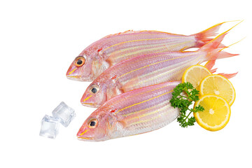 golden threadfin breams with lemon slice. fresh seafood fish background.