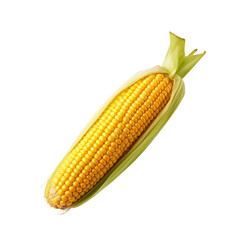 Fresh raw corn isolated on transparent background