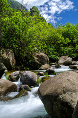 Iao Valley Paradise 2