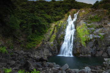Fototapeta na wymiar waterfall in the forest, no people Ohki falls Yakushima