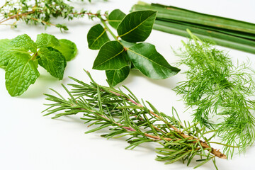 ハーブ　herb フレッシュハーブ　freshherbs © hirosumu